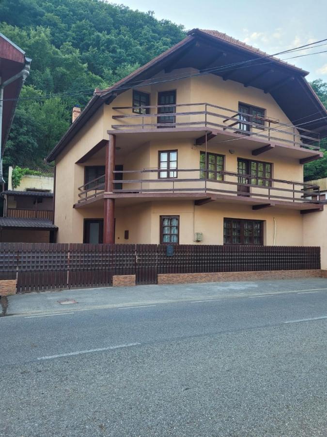 Casa Basu Villa Băile Herculane Eksteriør bilde