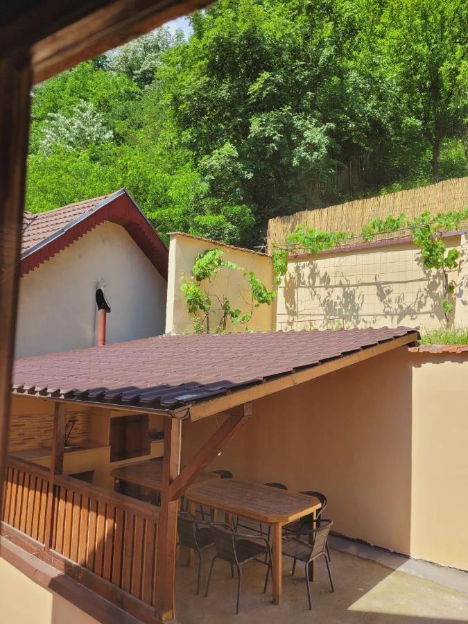 Casa Basu Villa Băile Herculane Eksteriør bilde